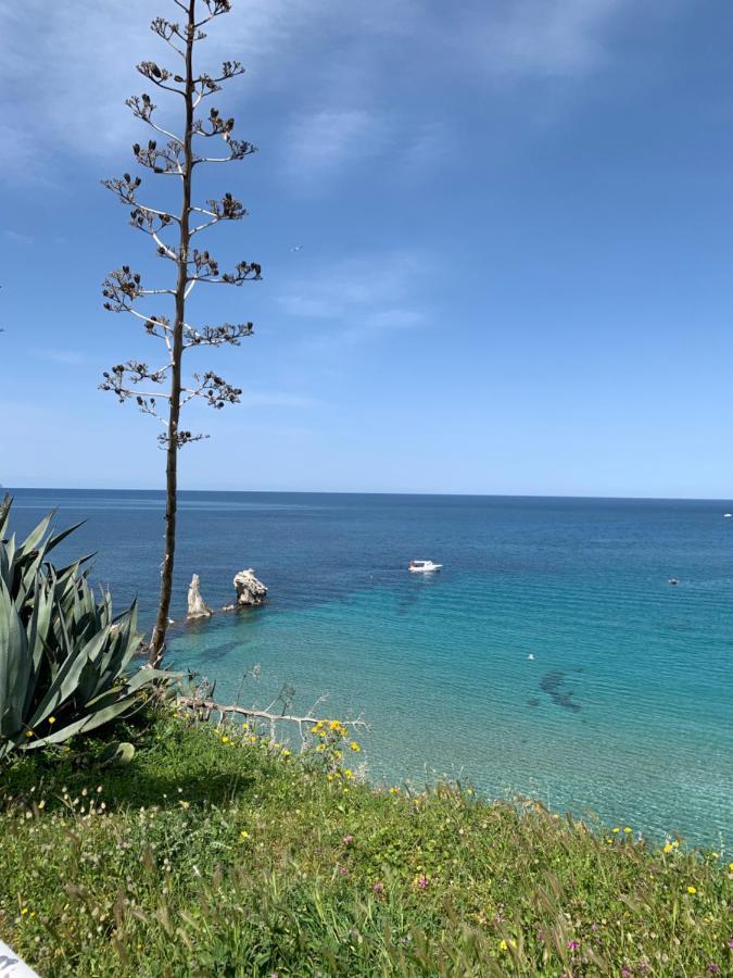Apartmán Fiori D'Arancio Terrasini Exteriér fotografie